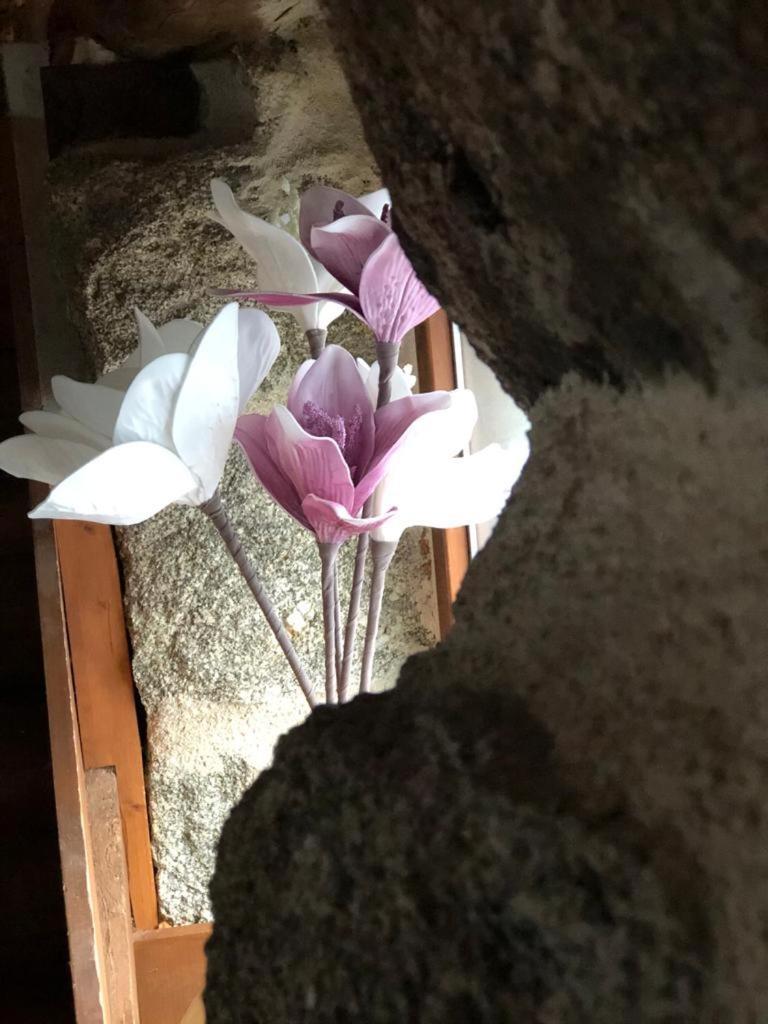 El Balconcillo Del Alberche Villa Navaluenga Eksteriør bilde